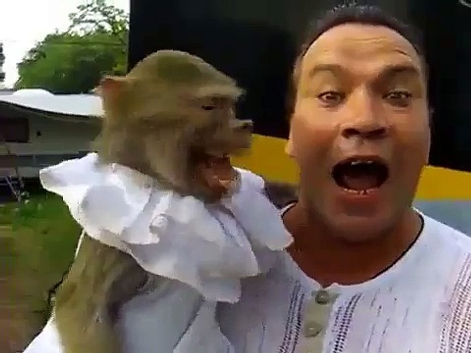 Funny Monkey Video - Very Funny(whatsapp9.com)