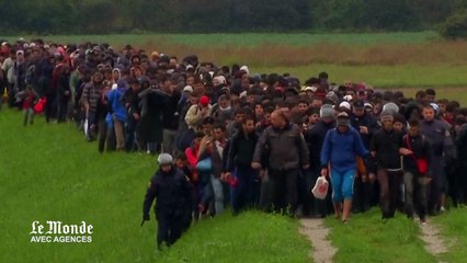 La Slovénie s’estime « dépassée » par l’afflux de migrants