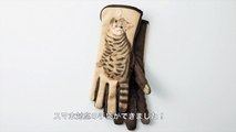 Les gants tactiles en forme de chats