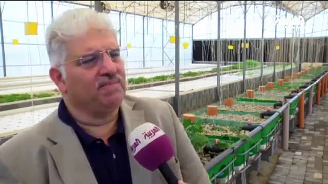 مهندس بحريني ينشئ مشروع زراعي.. "في الماء"