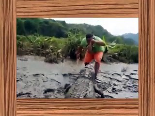 Crocodile vs Man Attack 2014   Animal Attacks