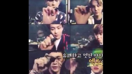 K LOL?! Newest Funny EXO Vines~