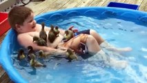Kids Goes Swimming With A Bunch Of Ducklings