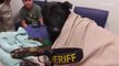 Dying K-9 officer's touching final tribute will have you in tears