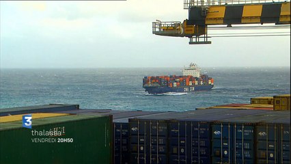 Thalassa : au cœur des grandes routes maritimes