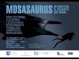 Icaro Tv. Il Mosasauro di Secchiano a Tempo Reale, intervista a Federico Fanti