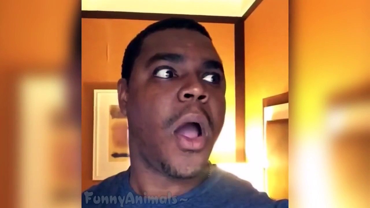 Ultimate Funny Animals Vines Compilation