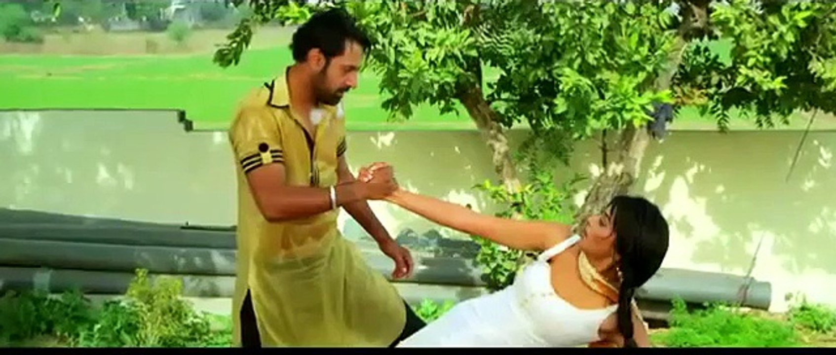 pachtwa dil