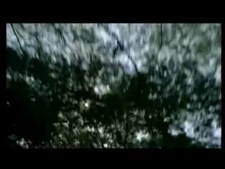 Pub Parfum Kenzo Amour