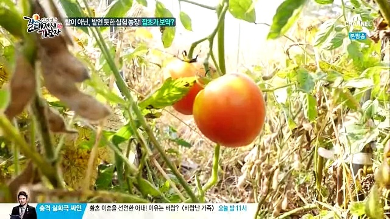 갈데까지 가보자.E149.151020
