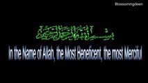 Surah  Al-Falaq 113  By  Shaikh Idrees abkar