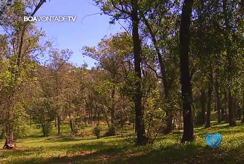 Pai-Nosso oração para confortar o coração