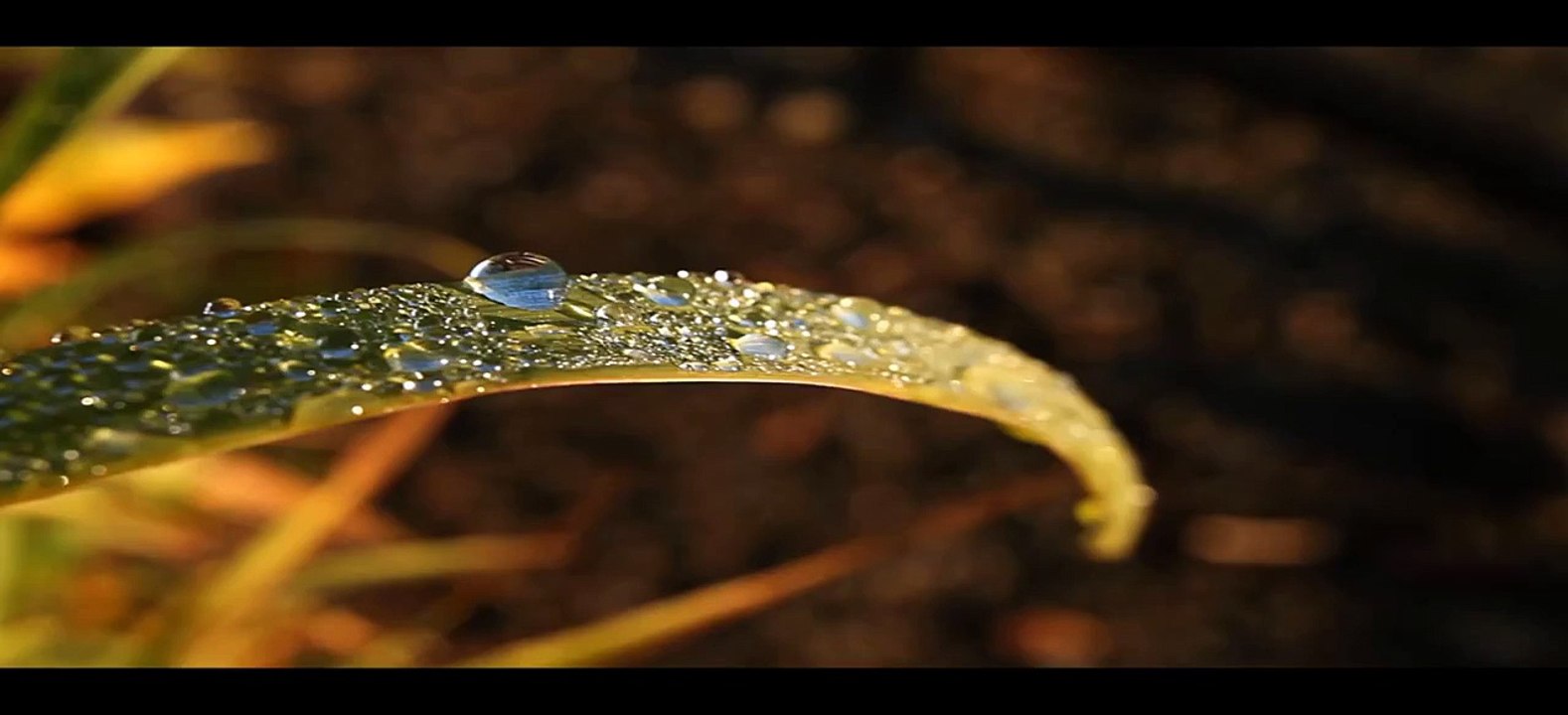 Short Documentary Quran miracles - Mind Blowing