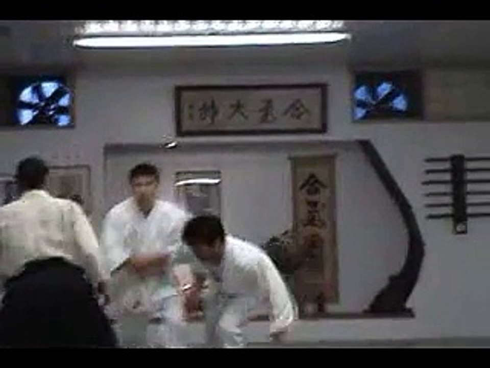Aikido (The Art of Peace and Harmony)