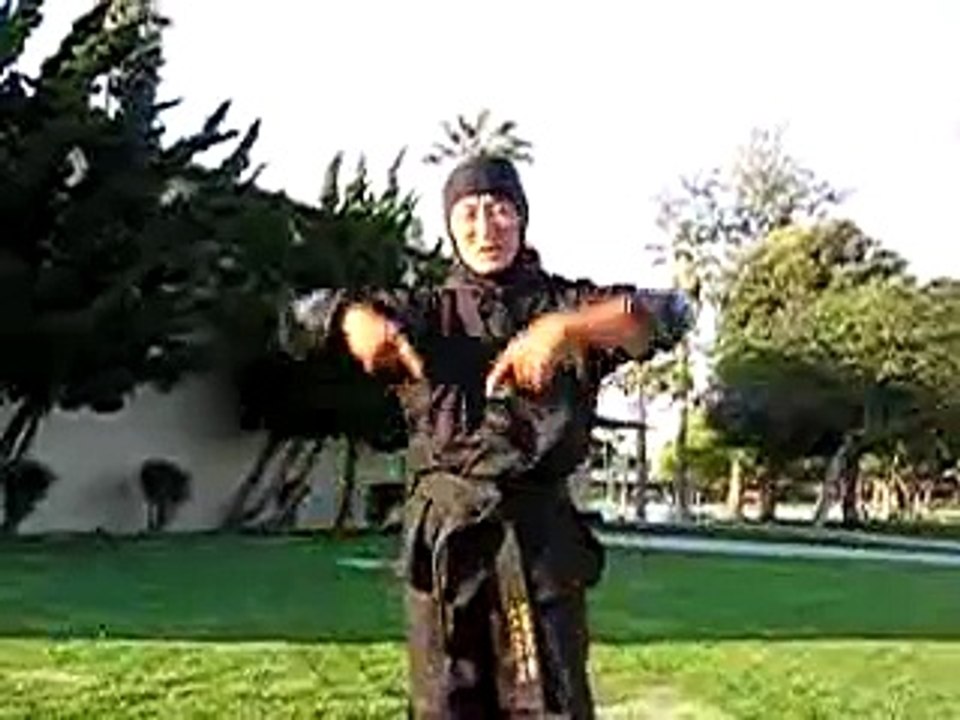 Ninja roll and flip basic 029