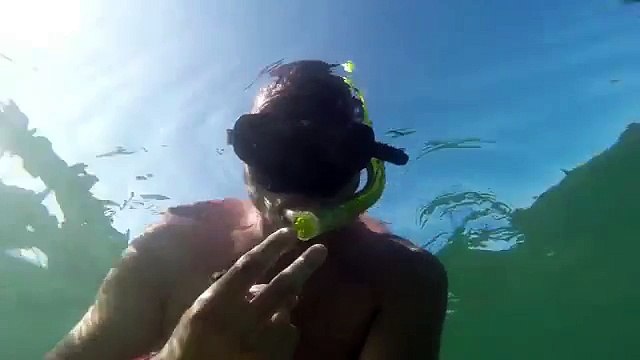 Pêche en Surfcasting - Daurade Royale sur des Couteaux de Mer