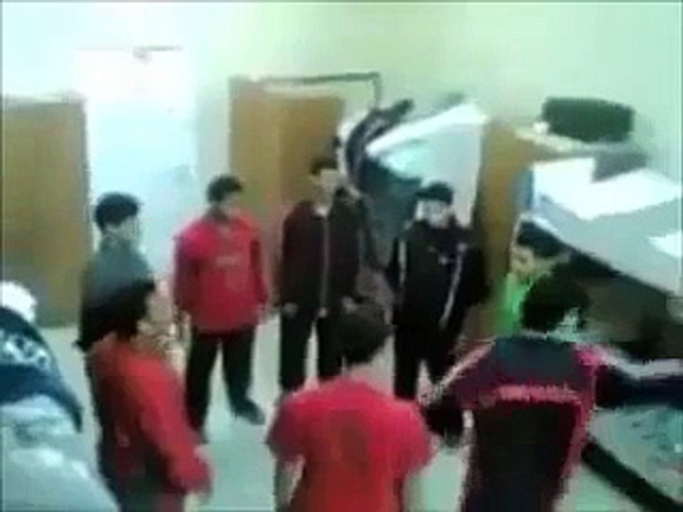 Birbirlerini seven papağan ve kedi - Funny videos - Komik videolar