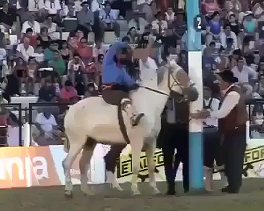 Aşk ile namaz kılan bebek - Funny videos - Komik videolar