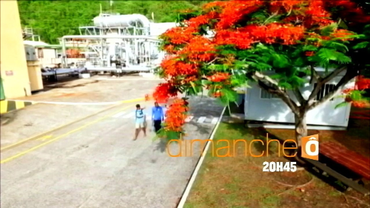 Les enfants de la mer : Guadeloupe et Normandie