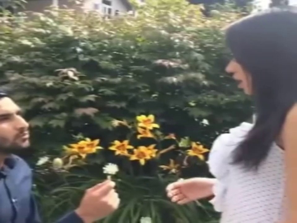 Proposing to a girl (White vs brown people) - ZaidAliT