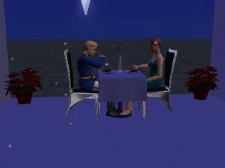 Sims 2 partie 1