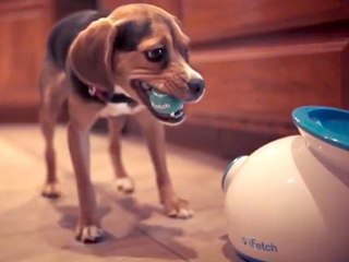 Coolest Tech Toys for Your Pet