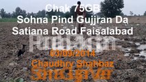 New Punjabi Video  A man is giving ground water  شمو گجر  Chak 75 GB