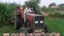 New Punjabi Video  Preparing the ground in punjab  مو بہ گجر  Chak 75 GB