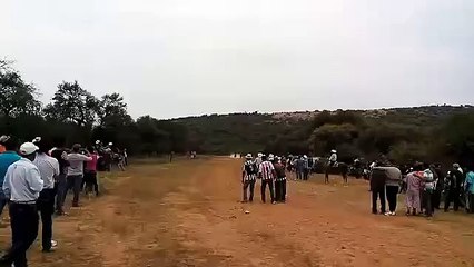 Ne pas rester planté au milieu d'une course de chevaux