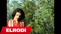 Fiqerete Doko ft. Dashuri Hysa - Celi trendafil te pusi (Official Video HD)
