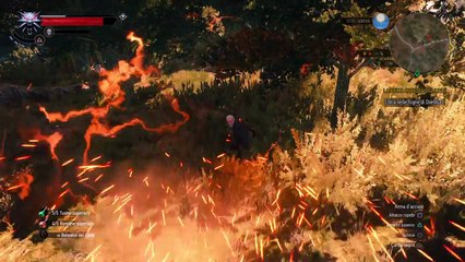 The Witcher 3: HoS Flying Boxes~