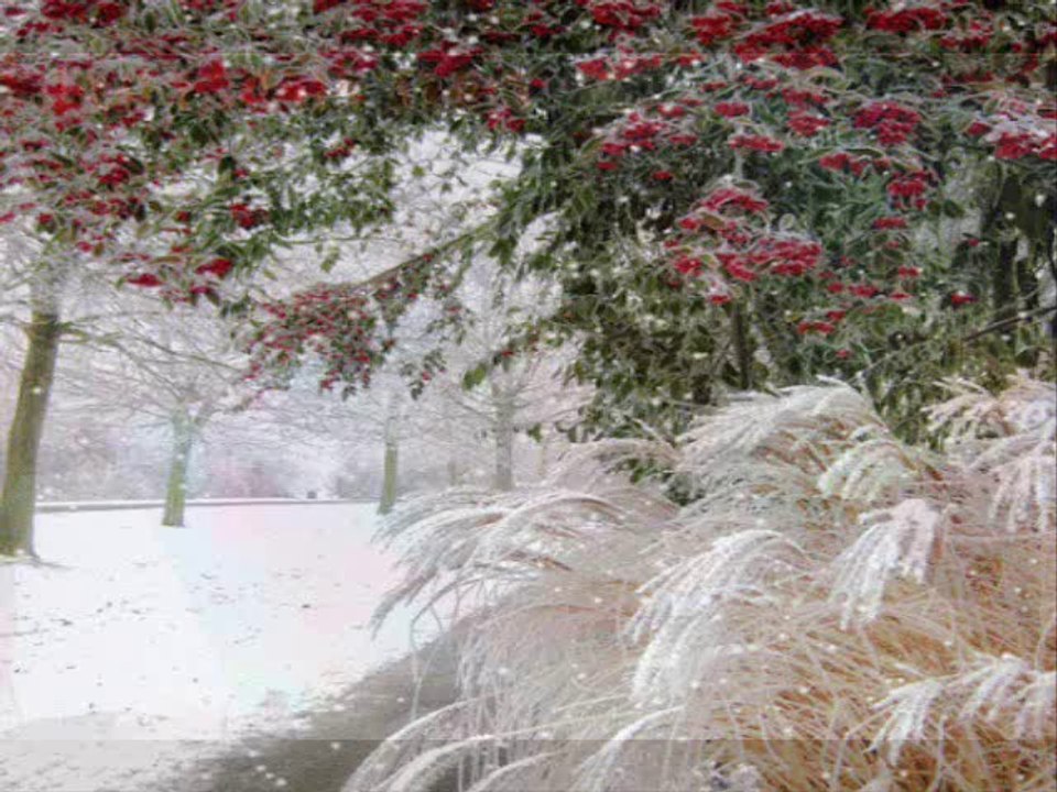 KAHTALI MIÇE ANAM MI VAR