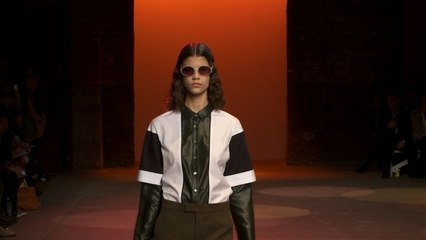 Fall 2013 Ready-to-Wear: Creatures of the Wind