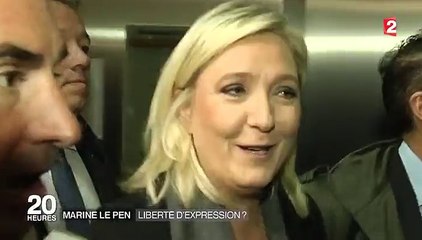 Procès de Marine Le Pen : le procureur demande la relaxe