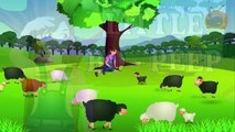 Little Bo Peep Has Lost Her Sheep Childrens Song/Nursery Rhyme for Babies, Toddlers & Kid