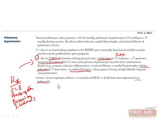 Respiratory Physiology Part 3