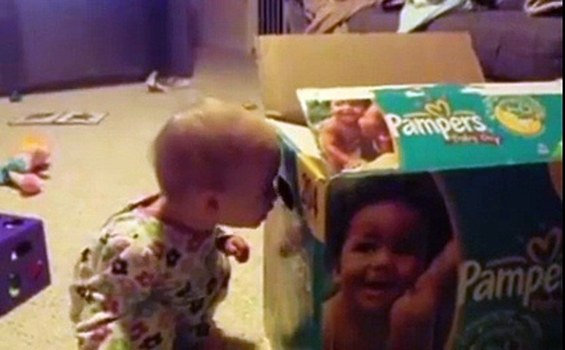 Cat and Human Baby Funny Moments Compilations