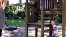 Boy Laughs So Hard At Dad He Falls Off The Playground