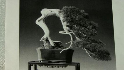 Fall 2009 Fashion Week Preview