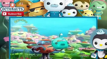 The Octonauts Episode 13 The Manta Rays Full Movies 2015 Best Action Hot Movie Dubbed and