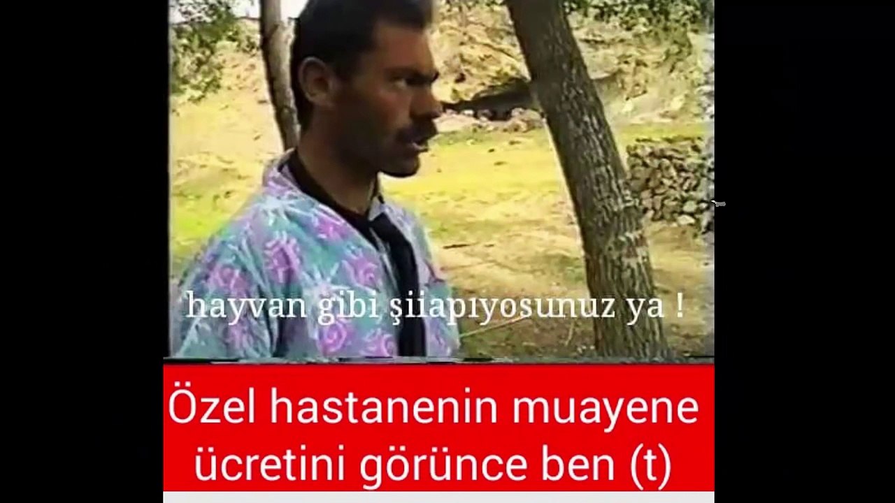 Hayvan gibi şey yapıyorsunuz caps (En Komik Capsler)