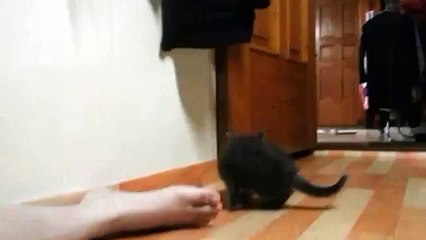 수원 출장안마Z4시™【ØlØ / 2178 / 9505】출장마사지수원Å급출장서비스