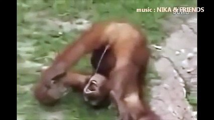 Y안양 출장안마『迅速』∥OlO↔2165↔2776∥ 과천출장마사지⇔지역⅓최고의왕출장안마TOP