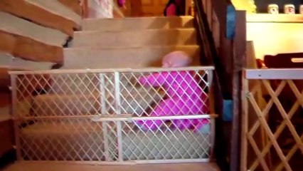 Mission Impossible: Babies Escape