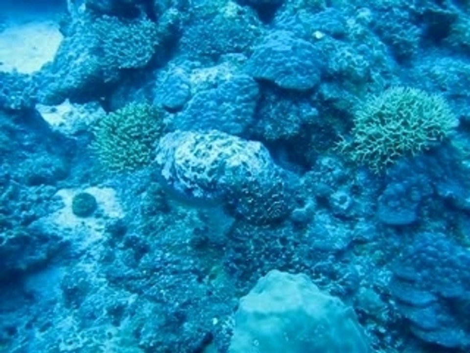 Ile_pins_seiche
