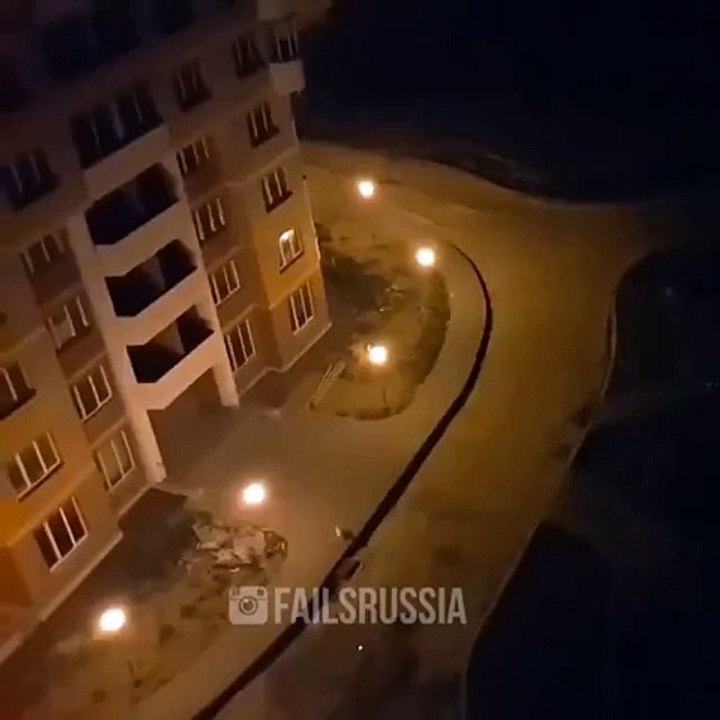 Dogs being fooled By Human