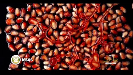 Official Baharez Restaurant ADV #5 اعلان الرسمى لمطعم بهاريز