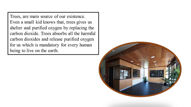 Plywood Exporters in India