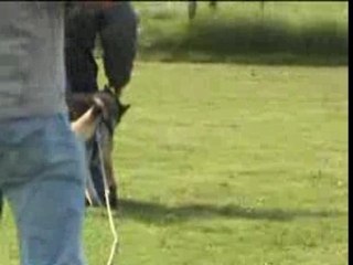 Nantes delire fuyantes