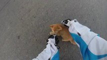 Motorcycle Woman Rider saves cute kitten from death!